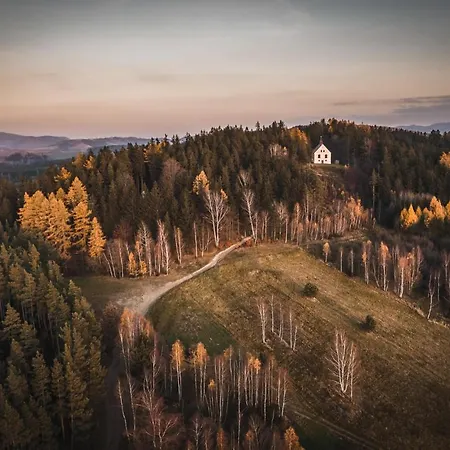 Zielna 16.